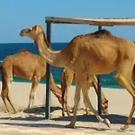 Arabian Sea Motel